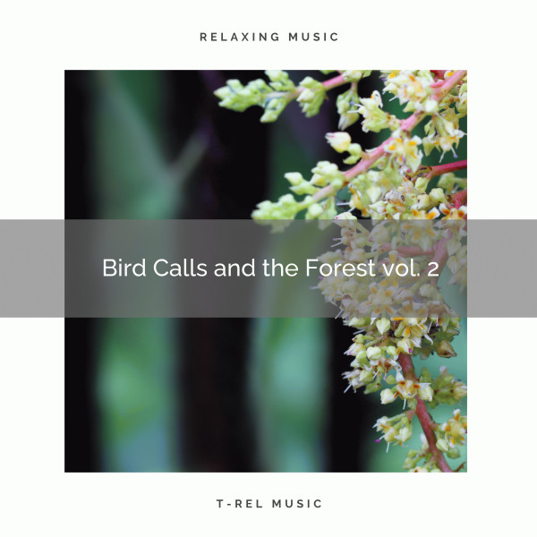 Bird Calls and the Forest vol. 2 - Album by Nature Sounds Radio | Spotify