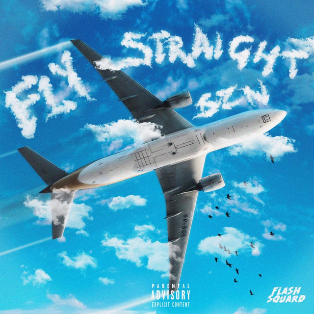 Fly Straight Szn cover art