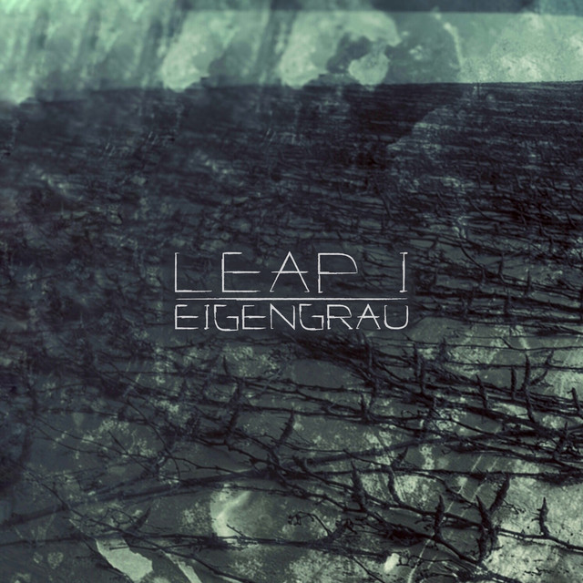 Leap cover