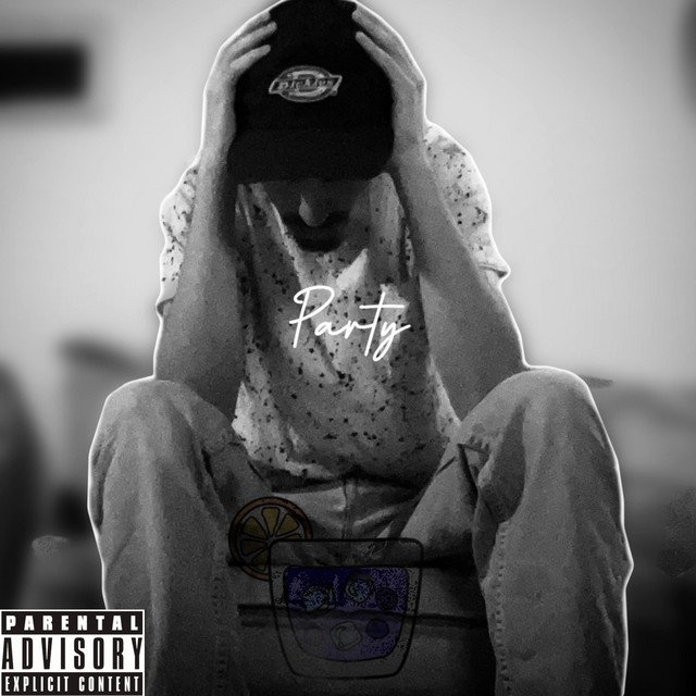 Party cover art