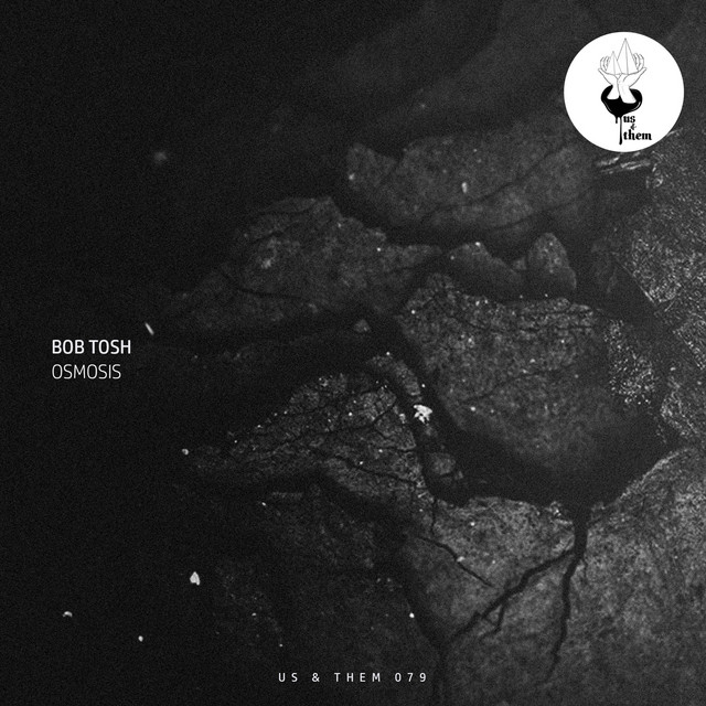 Oligono album art