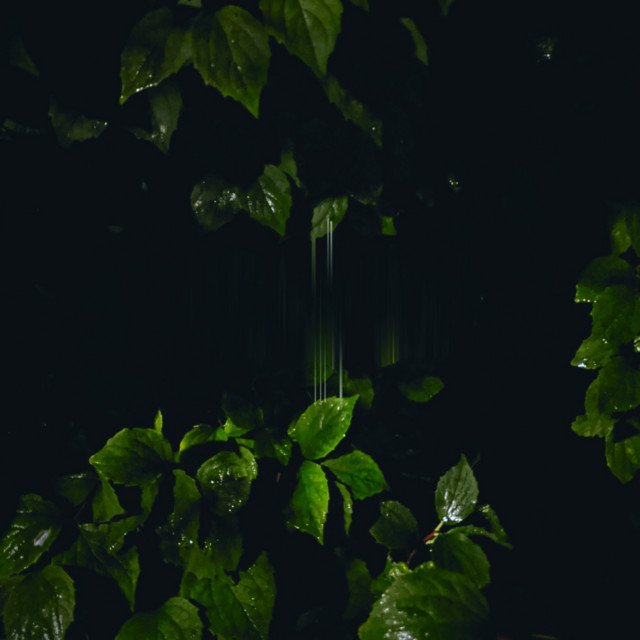 Music for Empty Flats cover art