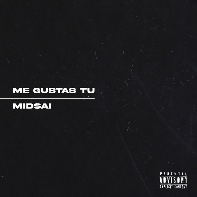 Me Gustas Tu