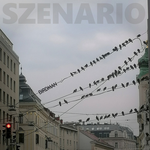 Birdman cover
