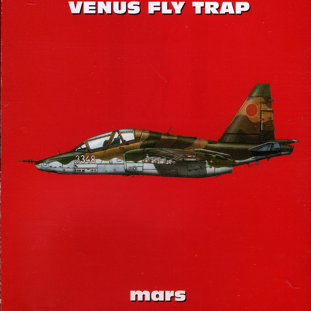 Venus Fly Trap Photo