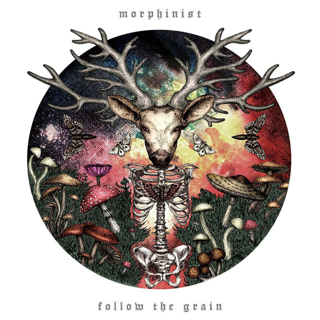 Follow the Grain cover