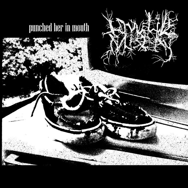 Обкладинка: Punched Her In Mouth — Lowlife Misery