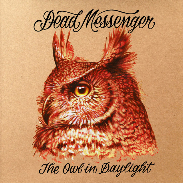The Owl in Daylight cover