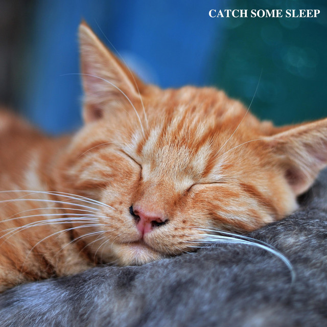 Catch Some Sleep cover art