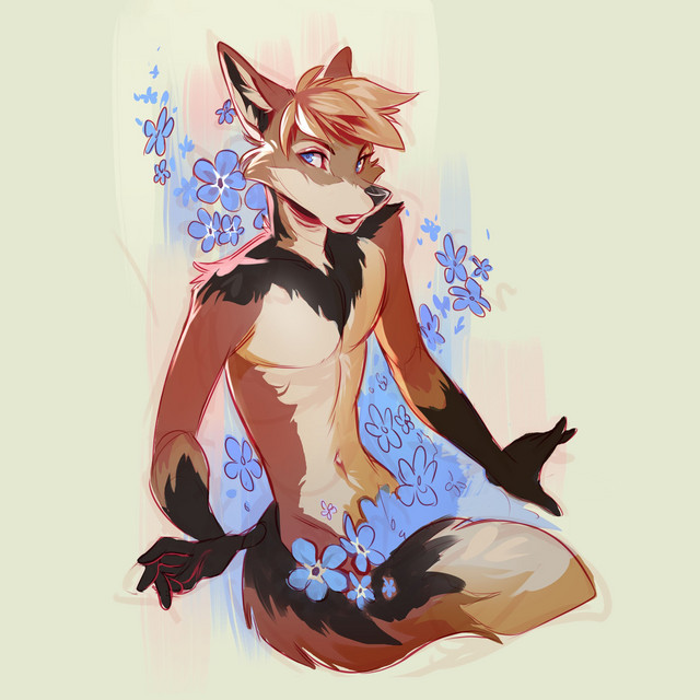 Myosotis cover art