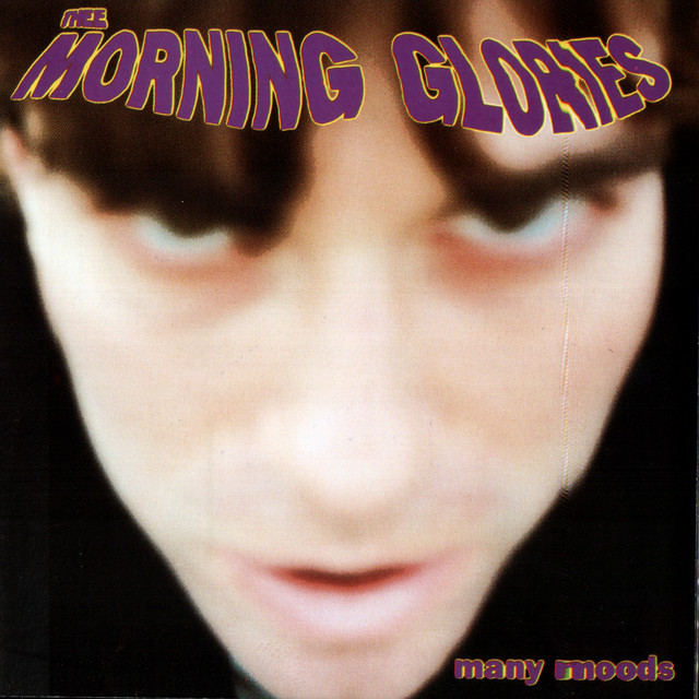 The Morning Glories Photo