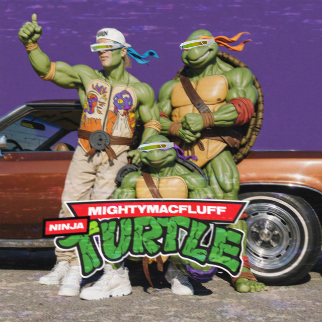 Ninja Turtle cover art