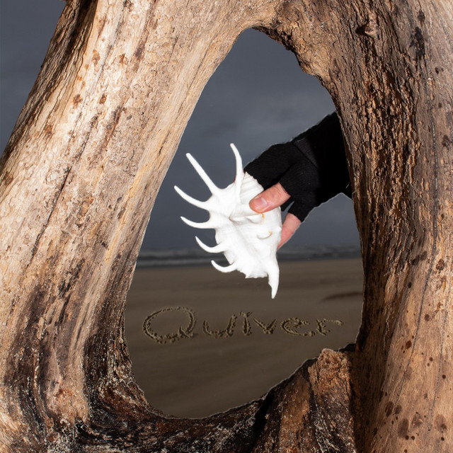 Quiver cover art