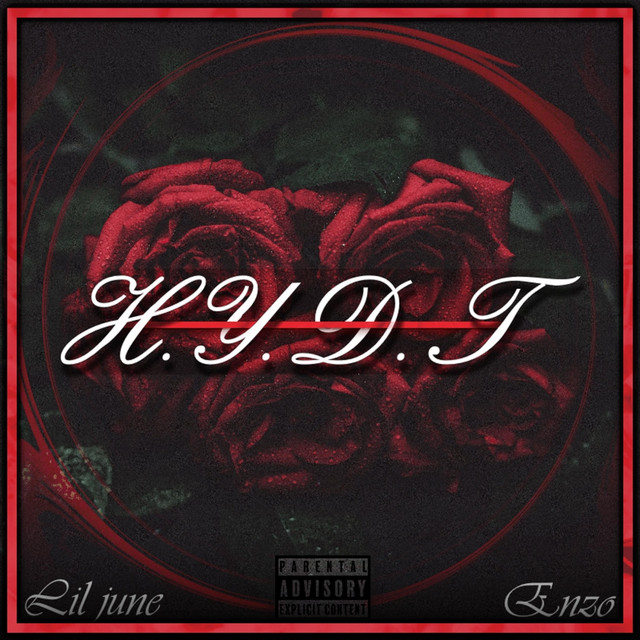 H.Y.D.T. cover art