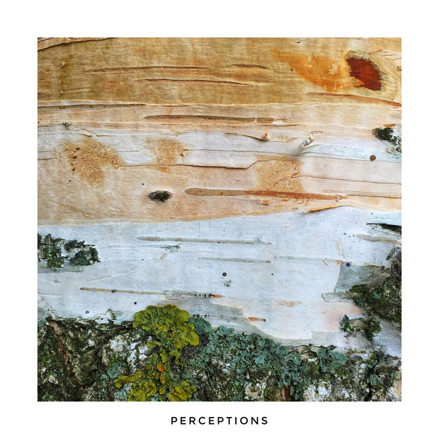 Perceptions