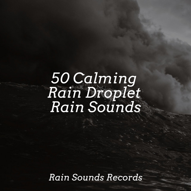 50 Calming Rain Droplet Rain Sounds - Album by Music For Absolute Sleep ...
