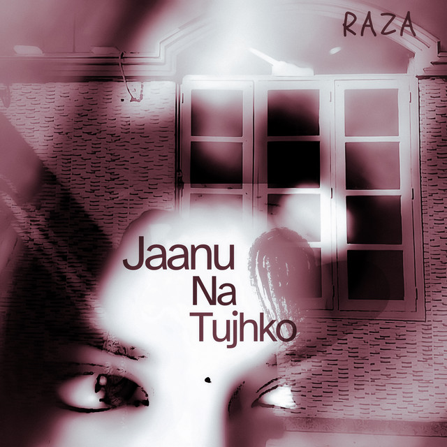 Jaanu na tujhko