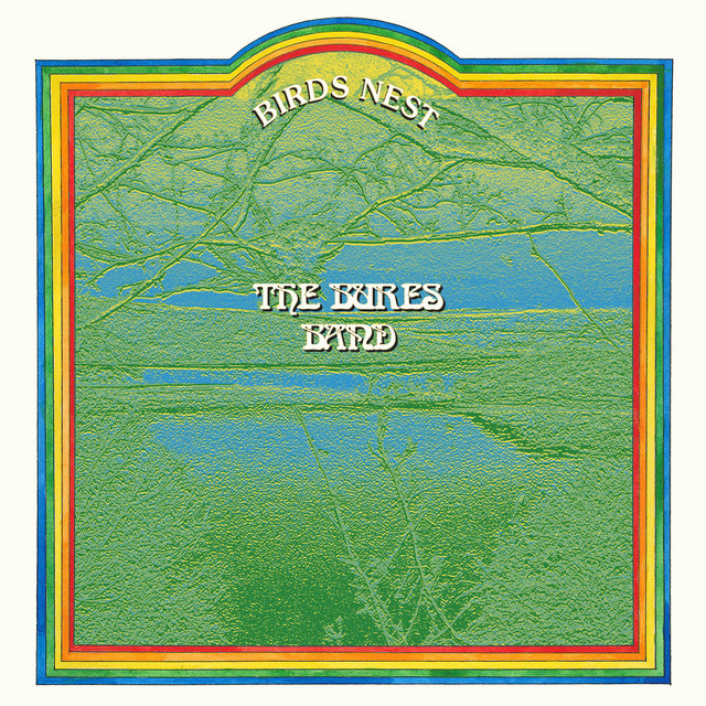 Birds Nest cover art
