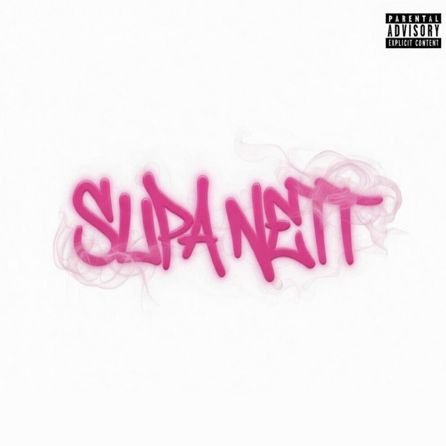SUPA NETT cover art