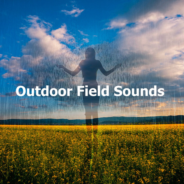 Outdoor Field Sounds - Album by Outdoor Field Recorders | Spotify