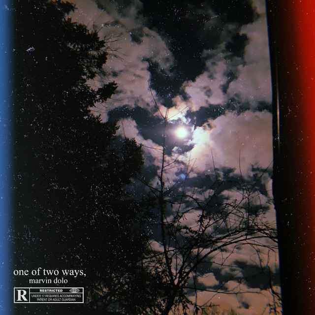 One of Two Ways cover art