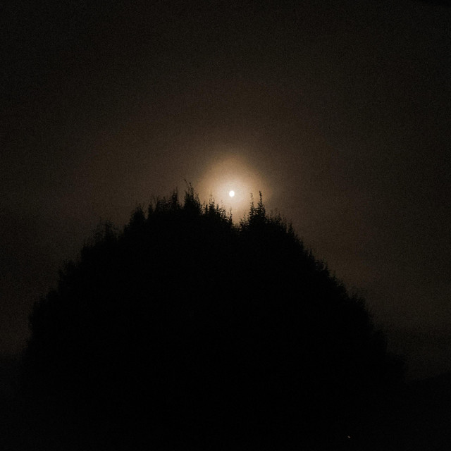 Distant Moon cover art