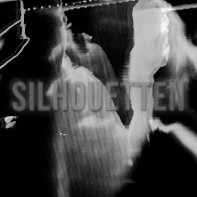 Silhouetten cover art