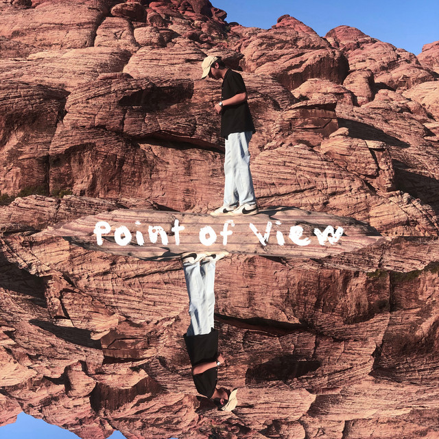 Point of View