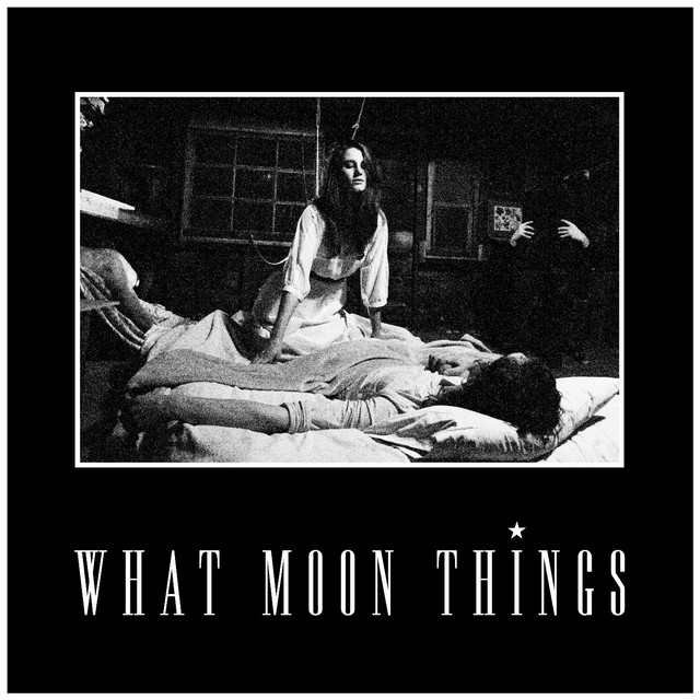 What Moon Things cover art