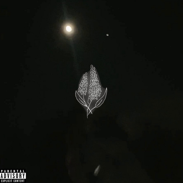 Cover art: Lilac — CHAOTIXXX
