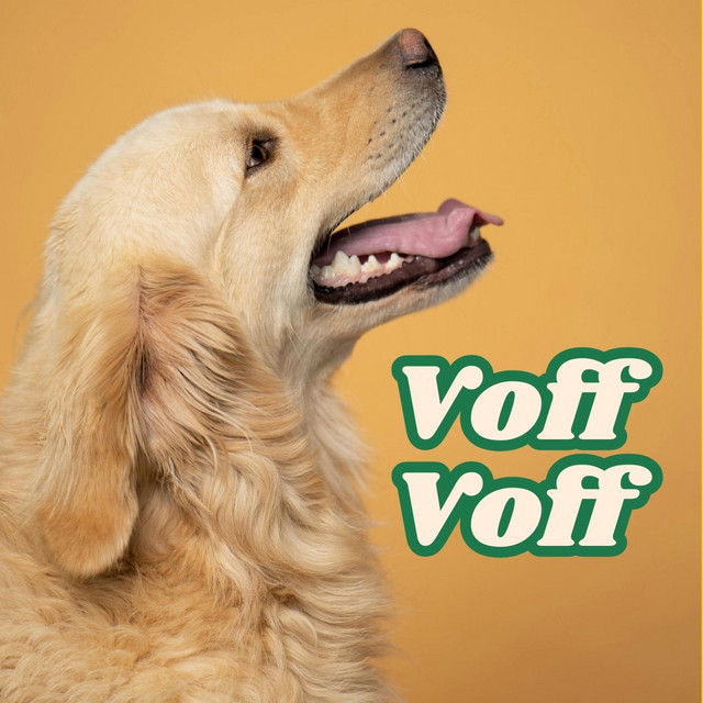 Voff Voff cover art