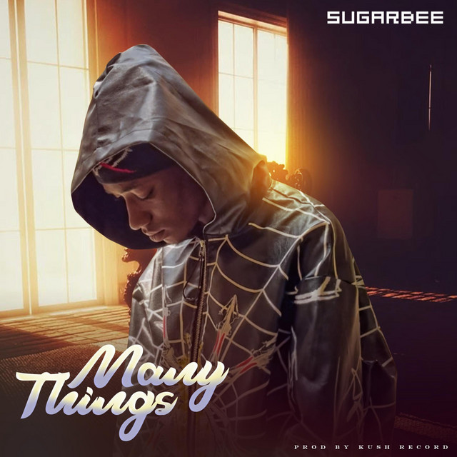 Many Things — Sugar Bee