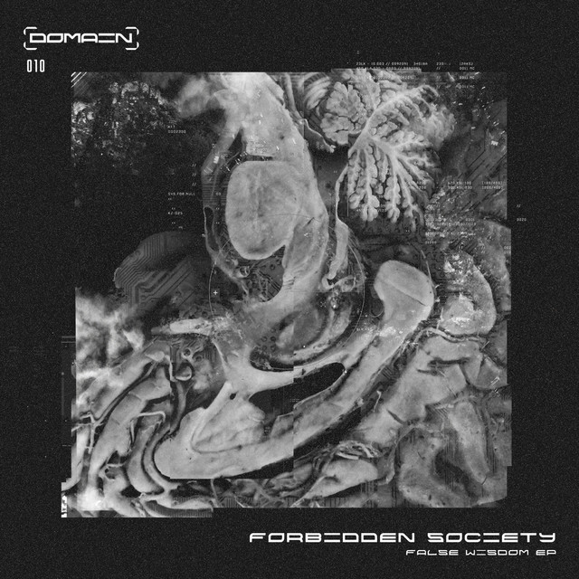 False Wisdom album art
