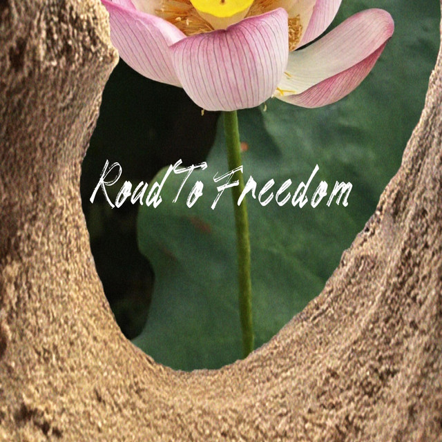 Road To Freedom cover art
