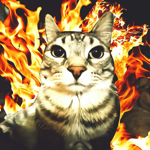 Flame cover art
