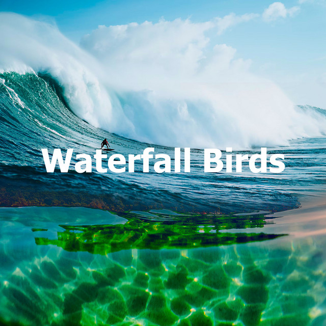 Waterfall Birds cover art