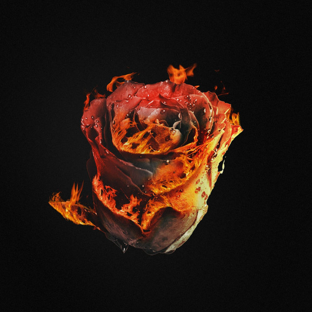 QNCT cover art