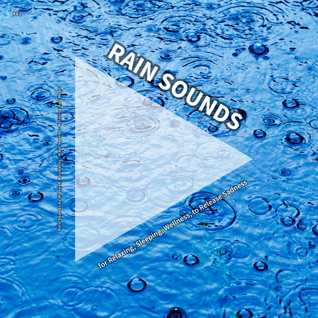 #01 Rain Sounds for Relaxing, Sleeping, Wellness, to Release Sadness cover art