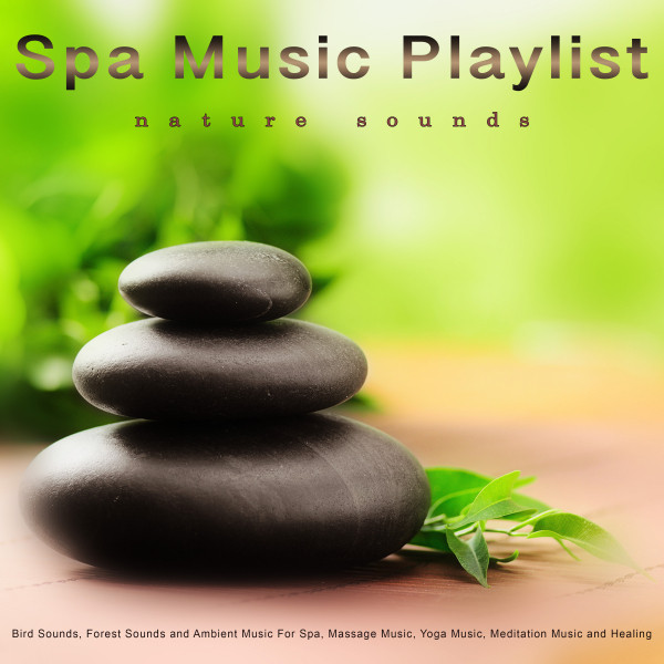 Spa Music Playlist: Bird Sounds, Forest Sounds, Nature Sounds and