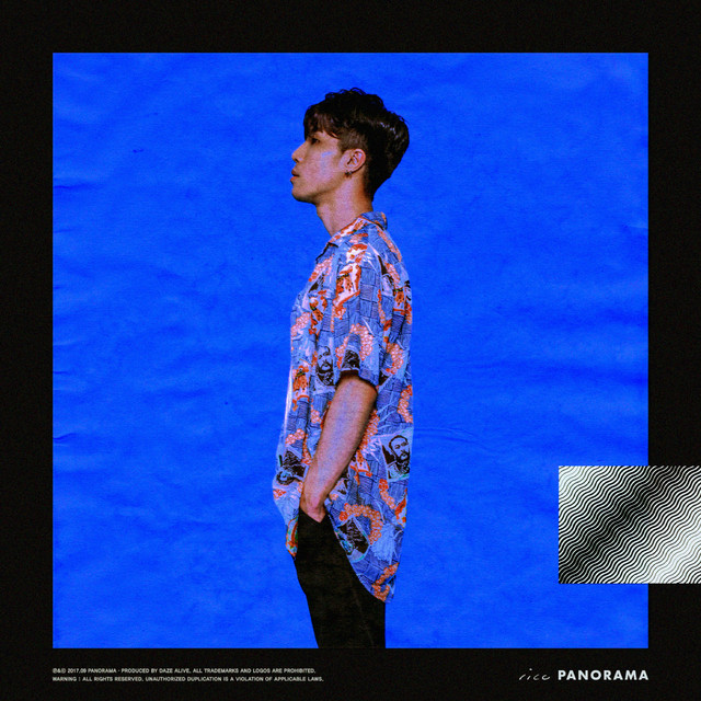 Panorama cover art