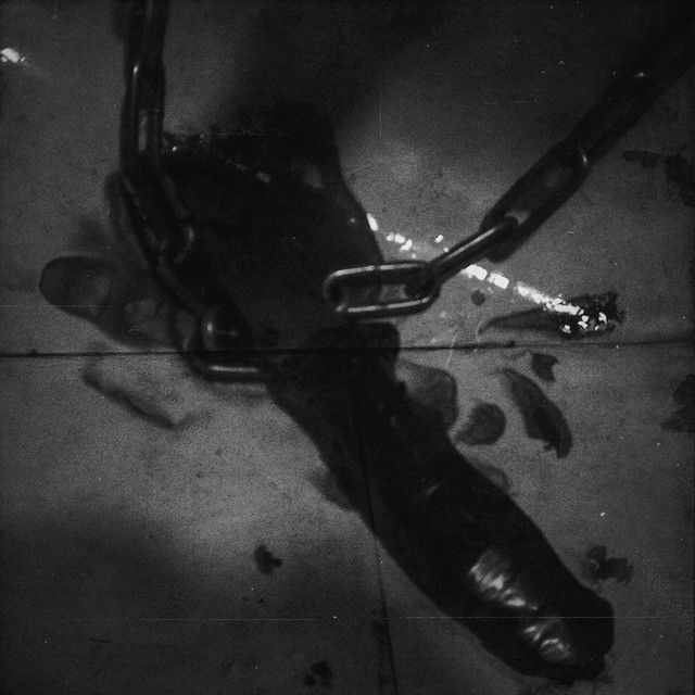Bloodshed