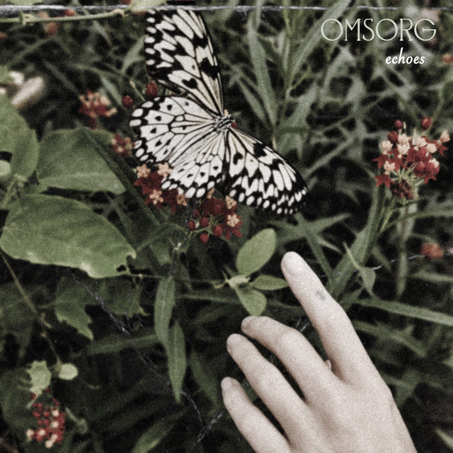 Echoes cover
