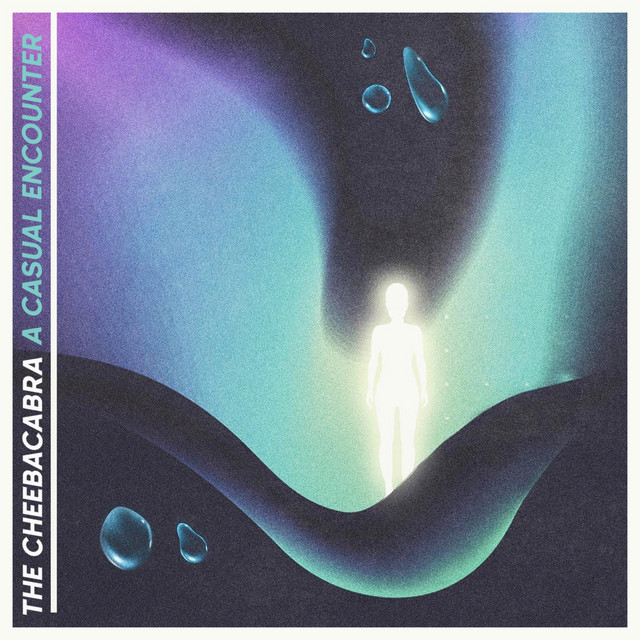 A Casual Encounter cover