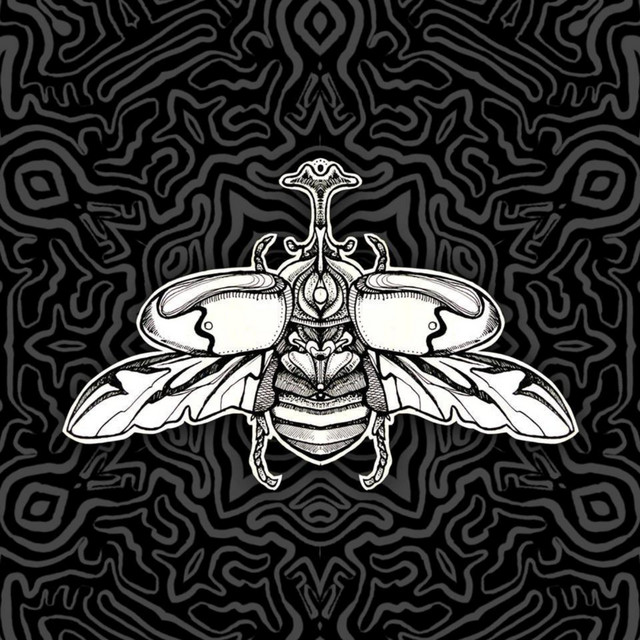 Canciones para Insectos cover