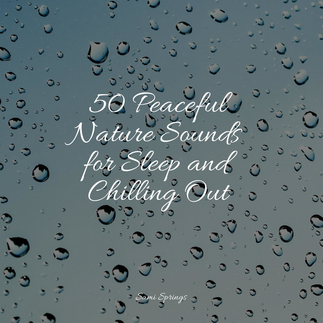 50 Peaceful Nature Sounds for Sleep and Chilling Out - Album by ...