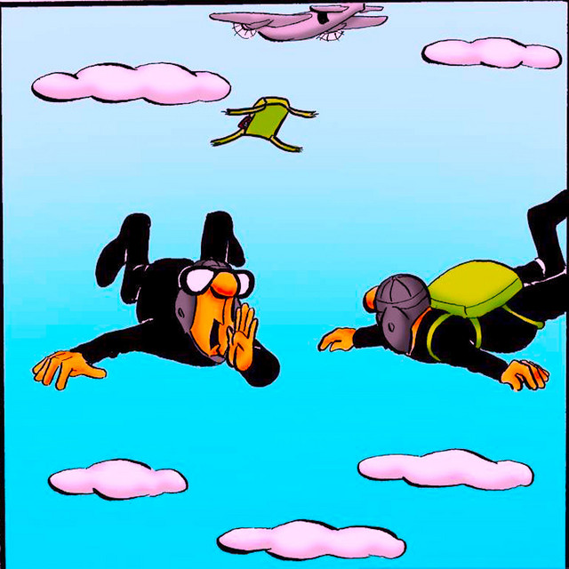 Free Fall cover art