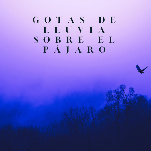 Gotas De Lluvia Sobre El Pájaro