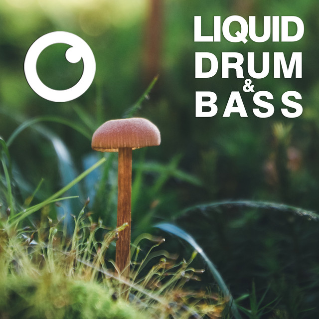 Liquid Drum & Bass Sessions 2020 Vol 39 artwork