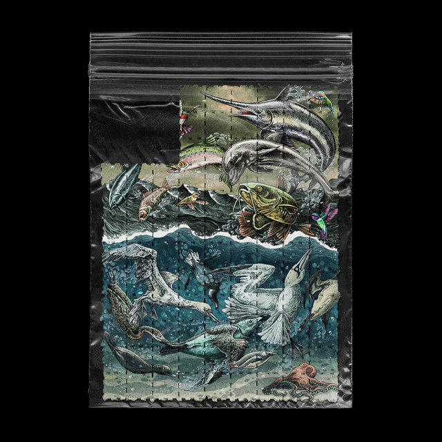 Dose cover art