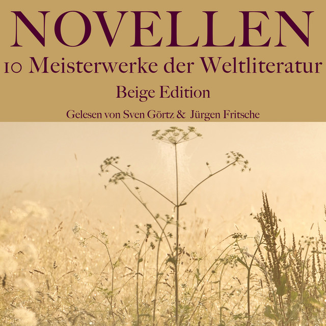 Novellen: Zehn Meisterwerke der Weltliteratur (Graue Edition)